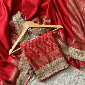 Designer Tissue Saree with Lace Work full view
